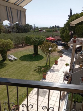 Olive mare Holidays
